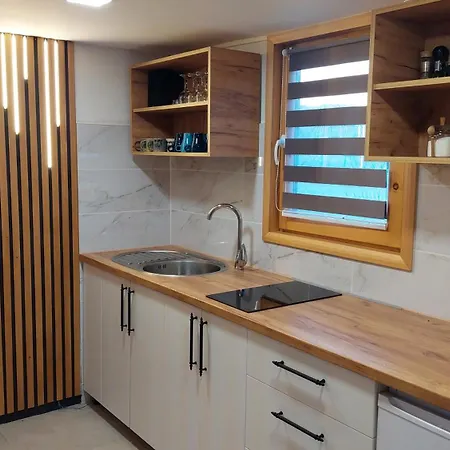 Kovacnica 55 بيت للعطل